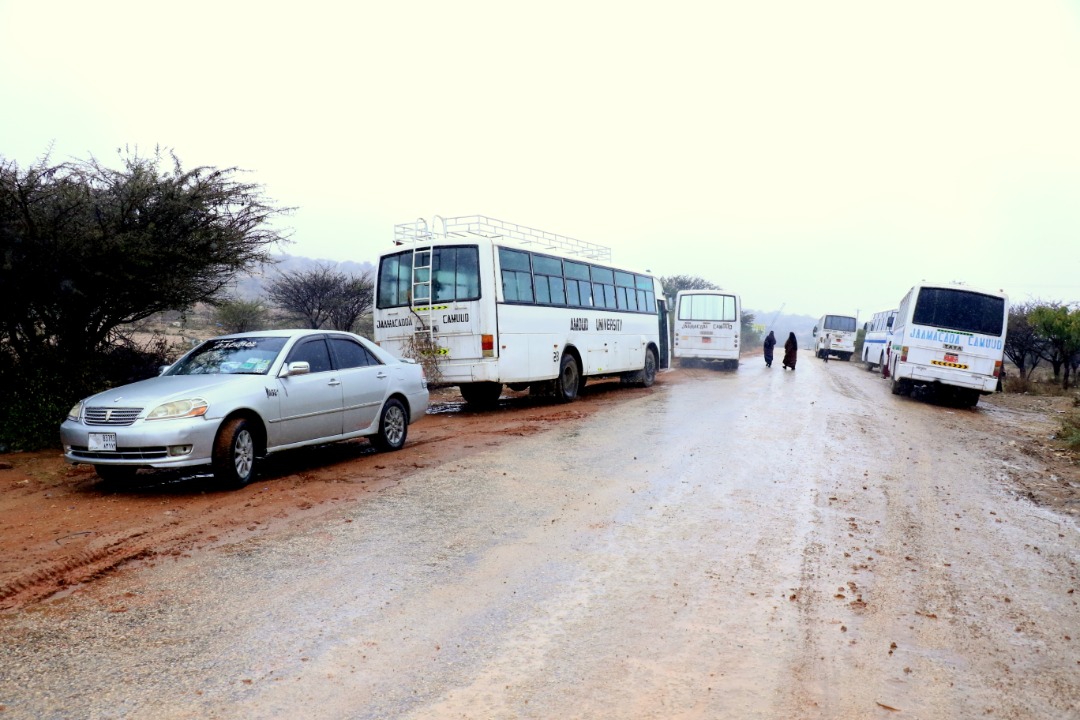 A fleet of amoud University owned vehicles including buses for students and smaller cars for staff at the main campus on a cold morning of   Sunday, January 12th, 2020. The vehicles ply the Amoud University-Goorgab bridge-Borama route transporting students and staff to and   from work every day because the main campus is located 5km East of Borama town.